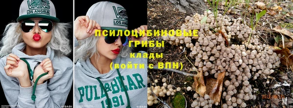 прущие грибы Арсеньев
