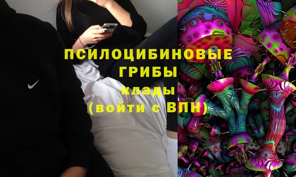 крисы Медвежьегорск