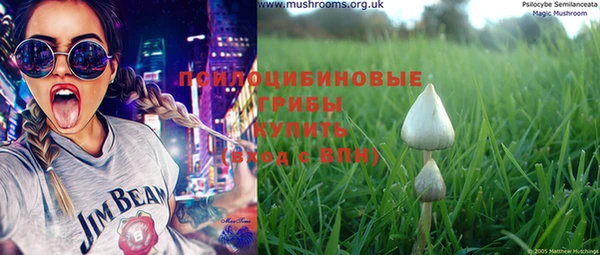 крисы Медвежьегорск