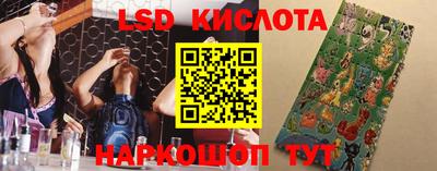 мдпв Бийск