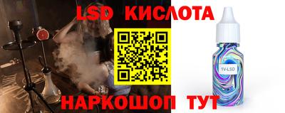 мдпв Бийск