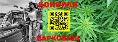 мдпв Бийск