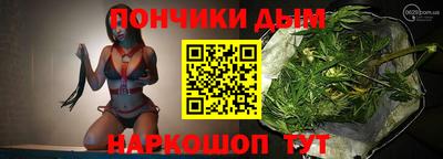мдпв Бийск