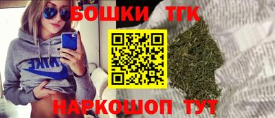 мдпв Бийск