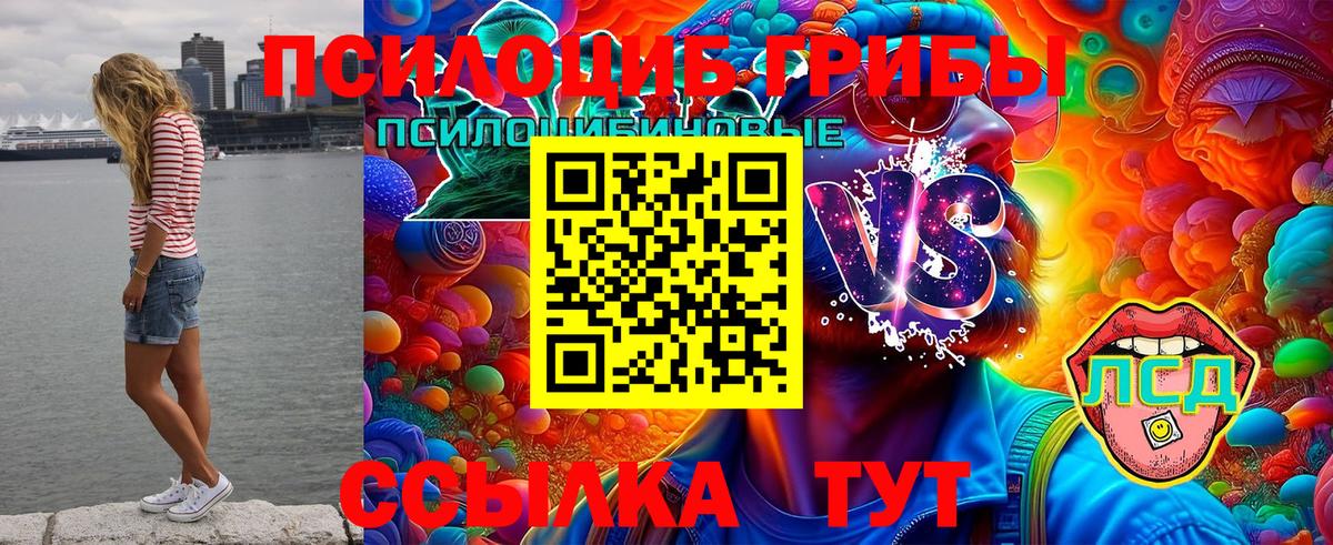 Знаменск  Галлюциногенные грибы MAGIC MUSHROOMS  Вход с VPN 